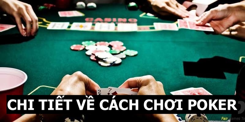 Hướng dẫn cách chơi Poker cho thành viên chưa biết