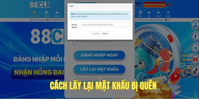 Khắc phục lỗi quên mật khẩu ngay website